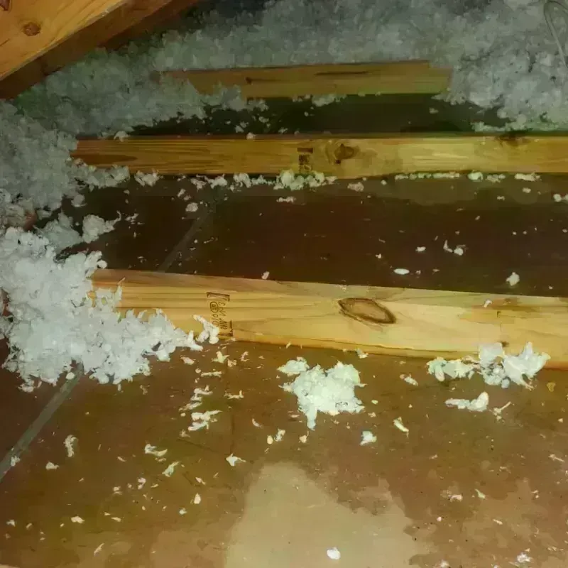 Attic Water Damage in Gig Harbor, WA